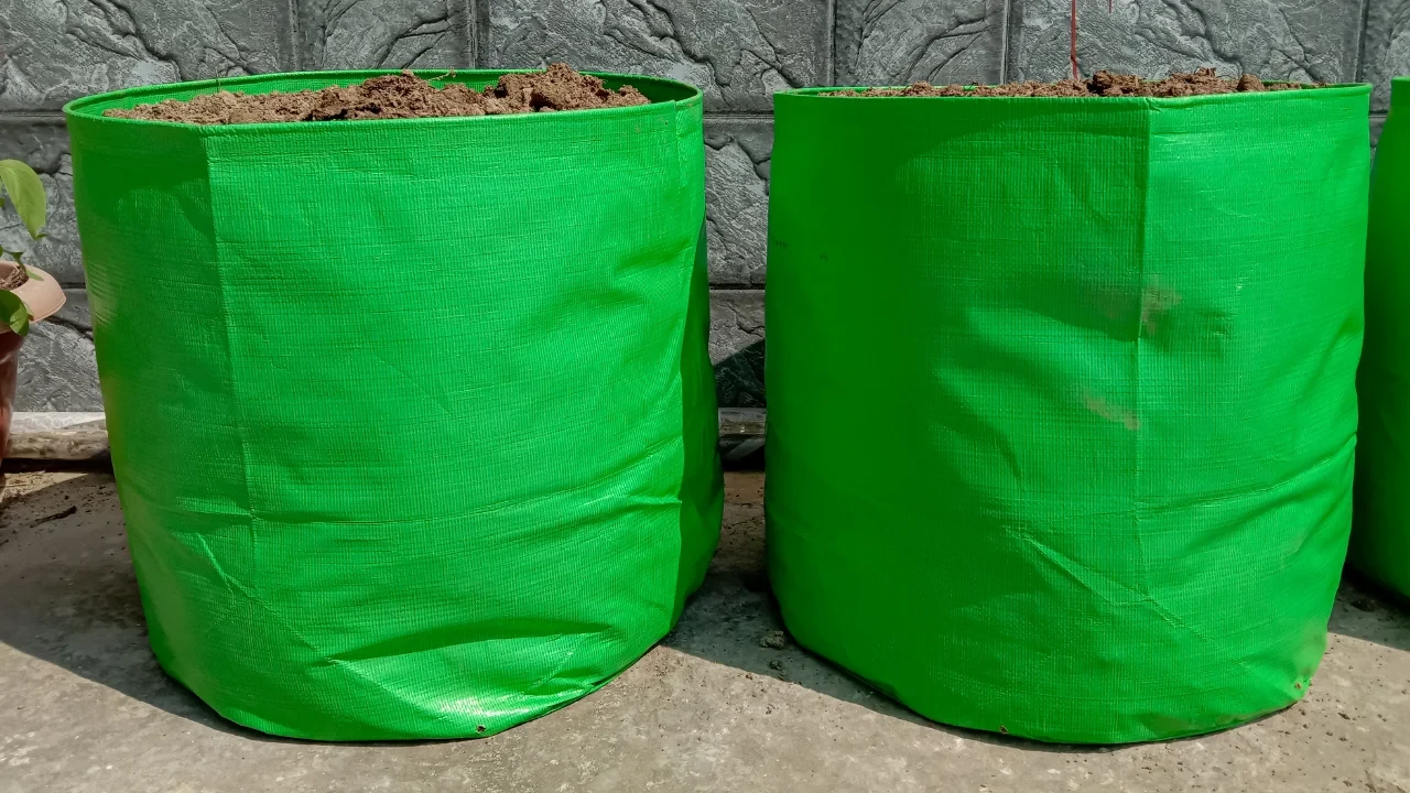 Fabric pots are a top option as they let roots breathe, boosting growth and yields. Fabric allows secondary root development to better absorb nutrients, unlike plastic pots where roots become root-bound by circling the container edge